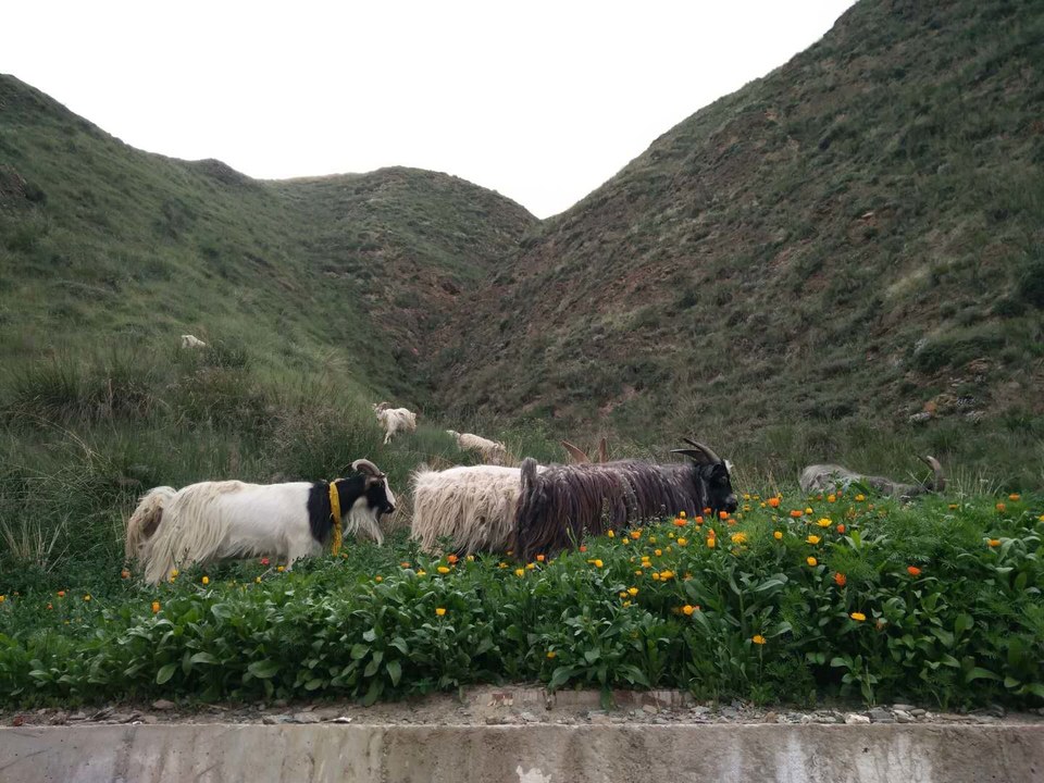 gAMcvmj0c35wMAEJtmFFhyh3StizI1igR4Cw3MV3DzQXfG4_jnrAcbK0gOroWmZl