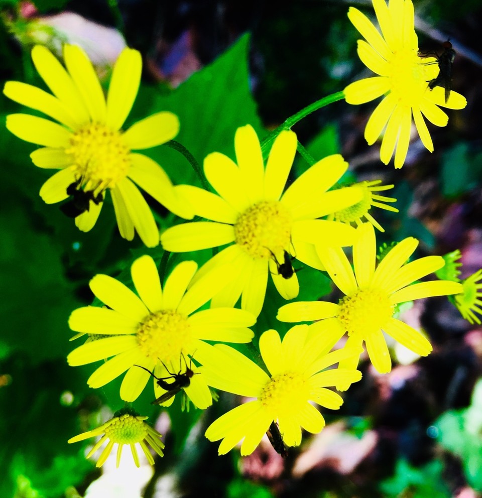 70306FFF-80FB-4593-BA71-9AF22E355EF1