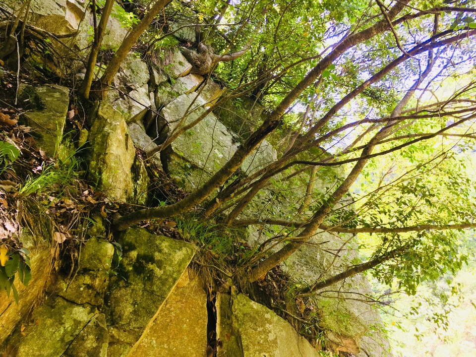 83A37B79-6371-4380-8357-5963E4C13493