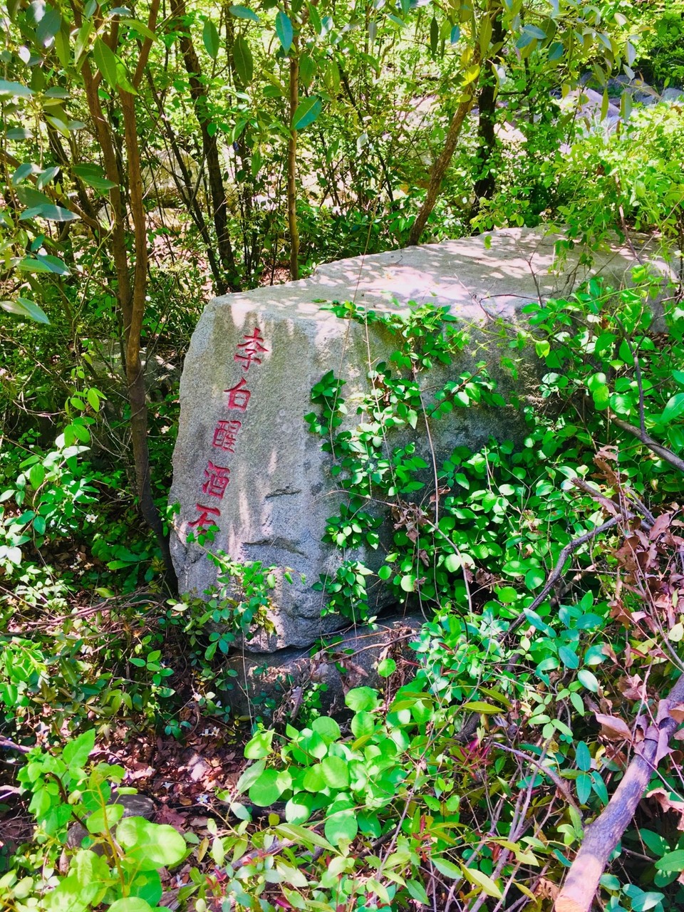 B8F3D807-B7EE-4C1E-A340-3CB3EA5AD995