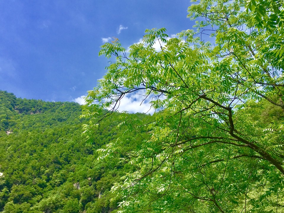 E80E1EB8-8C12-4CC1-B0F7-55F661DAC9D1