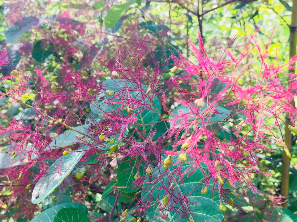 00AA809F-96FF-40DD-82D0-374E480CDD0C