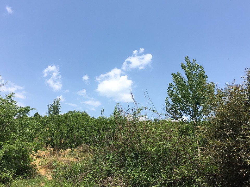 C2940DCC-331E-4B51-81A0-956689798488