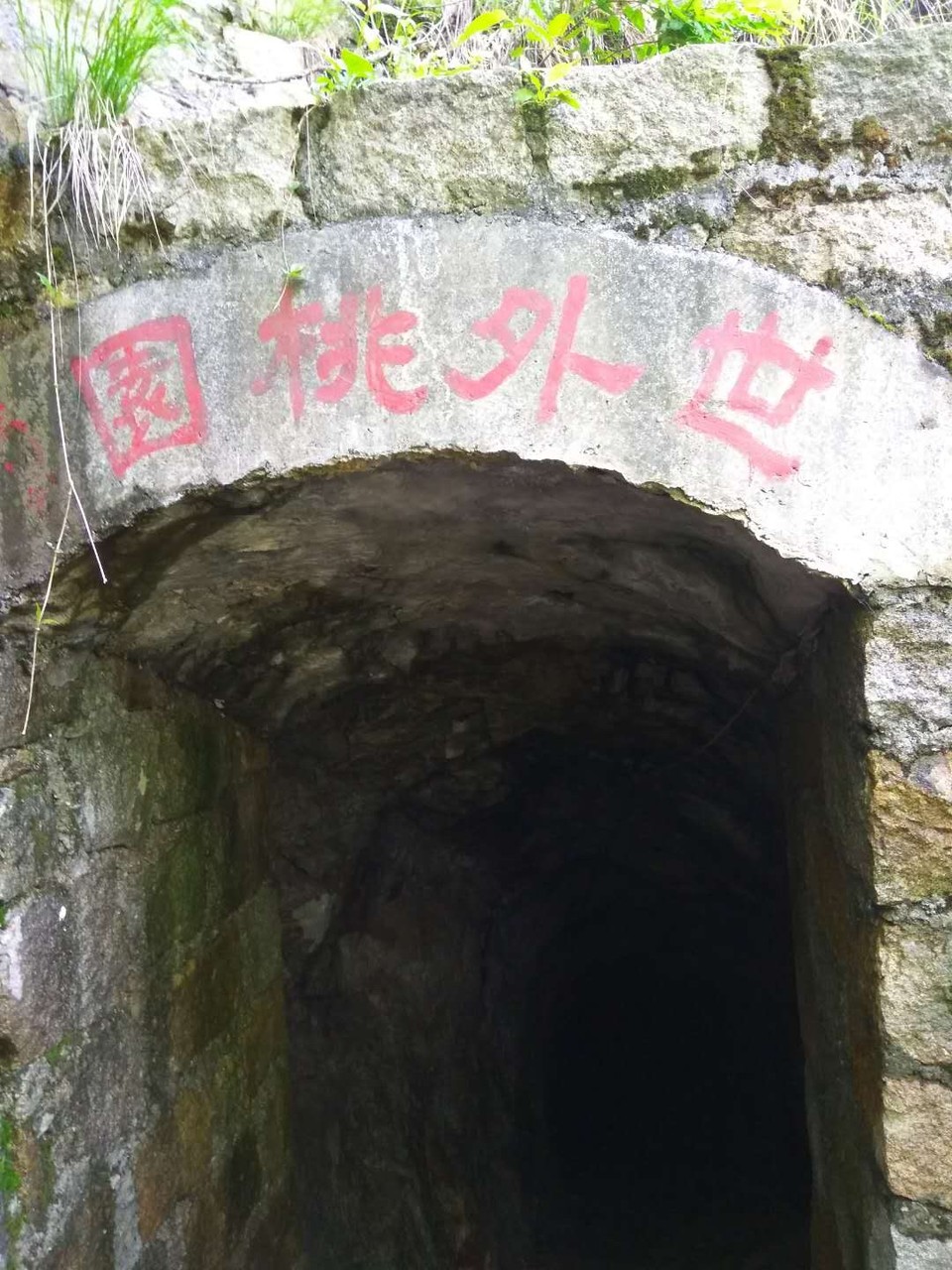 58E094C8-F737-4BB1-B2E5-FCF0477856F4