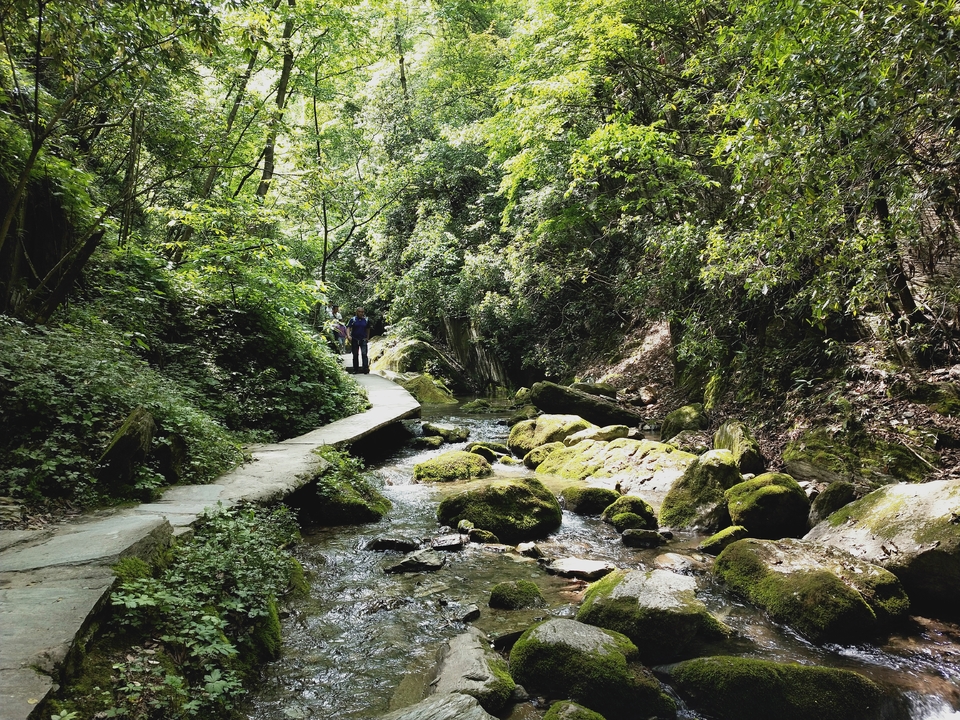 X88F8QHm7BicoMBx0becx1DPTjhDEBDz3UWk5LbrGj0WE5_tTSGuNrqgzVU6OG7w