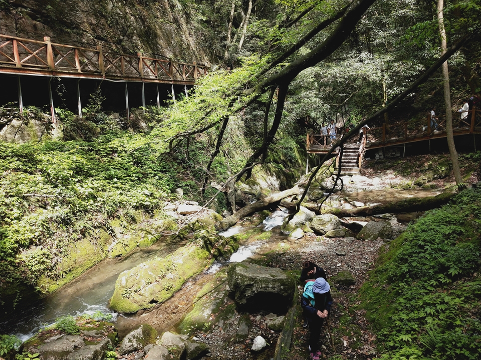 iAgPVpuVFgKj4Uy8i_HofLpI79wIj_8bjC0Wh4wgcQZkuPWuKlb3-zlNsGA5AKix