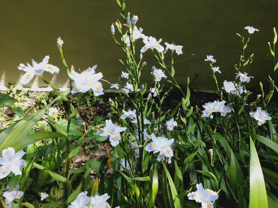 PNV_ET7RkUaqBWfIgjB_JFqfDeGbl9zXu9YOCGIZtHyj-MJquwankZxo-s_xC2wO