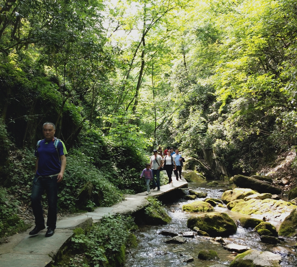 8MoRpLyh4Eyg03nWNVKsttsRGzvh6yws3kq7lm8htSfRUZIPN43DIsxOND4plJwp