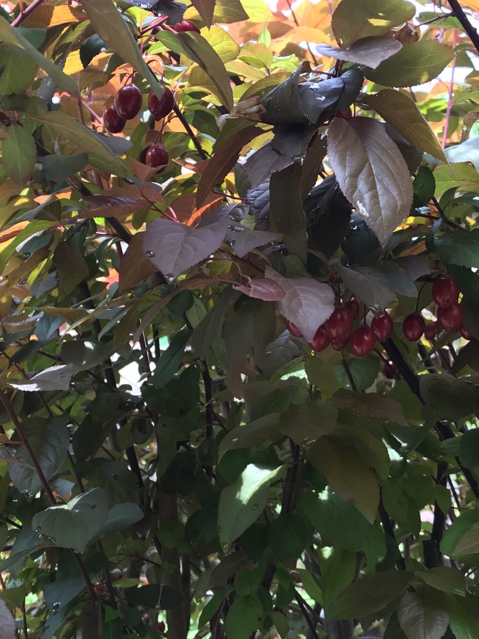 E6A9B877-5028-4660-8FF0-91FD67BE0F27