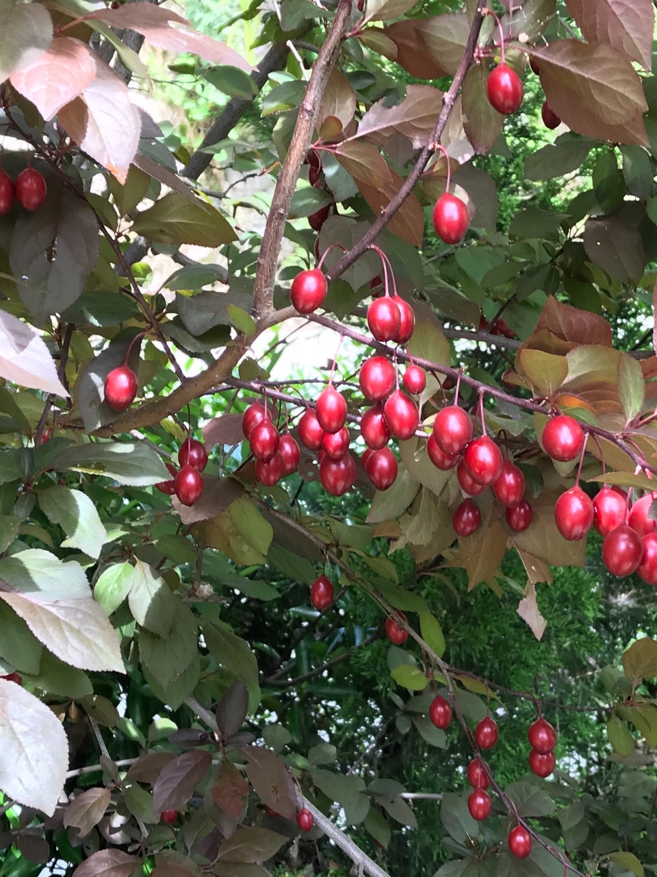 41D4294B-B3A4-4A4C-8567-1BB20867C7F5