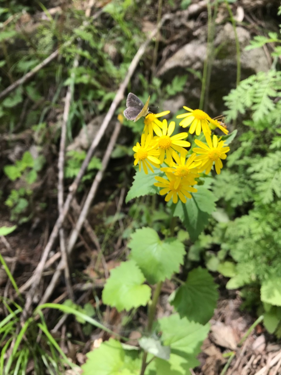 48658C87-03BA-49D8-AAA9-6A4313CC0E44