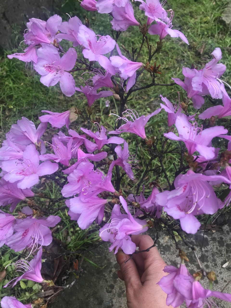 4C17CE29-6B3C-4431-B01B-F07EDE1FF55A