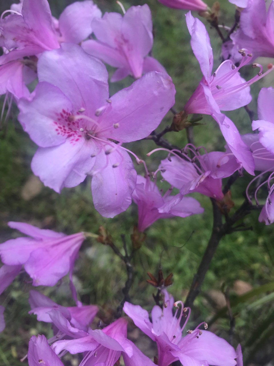 4870D7AC-60BA-47F8-93E5-FA6733F3D843