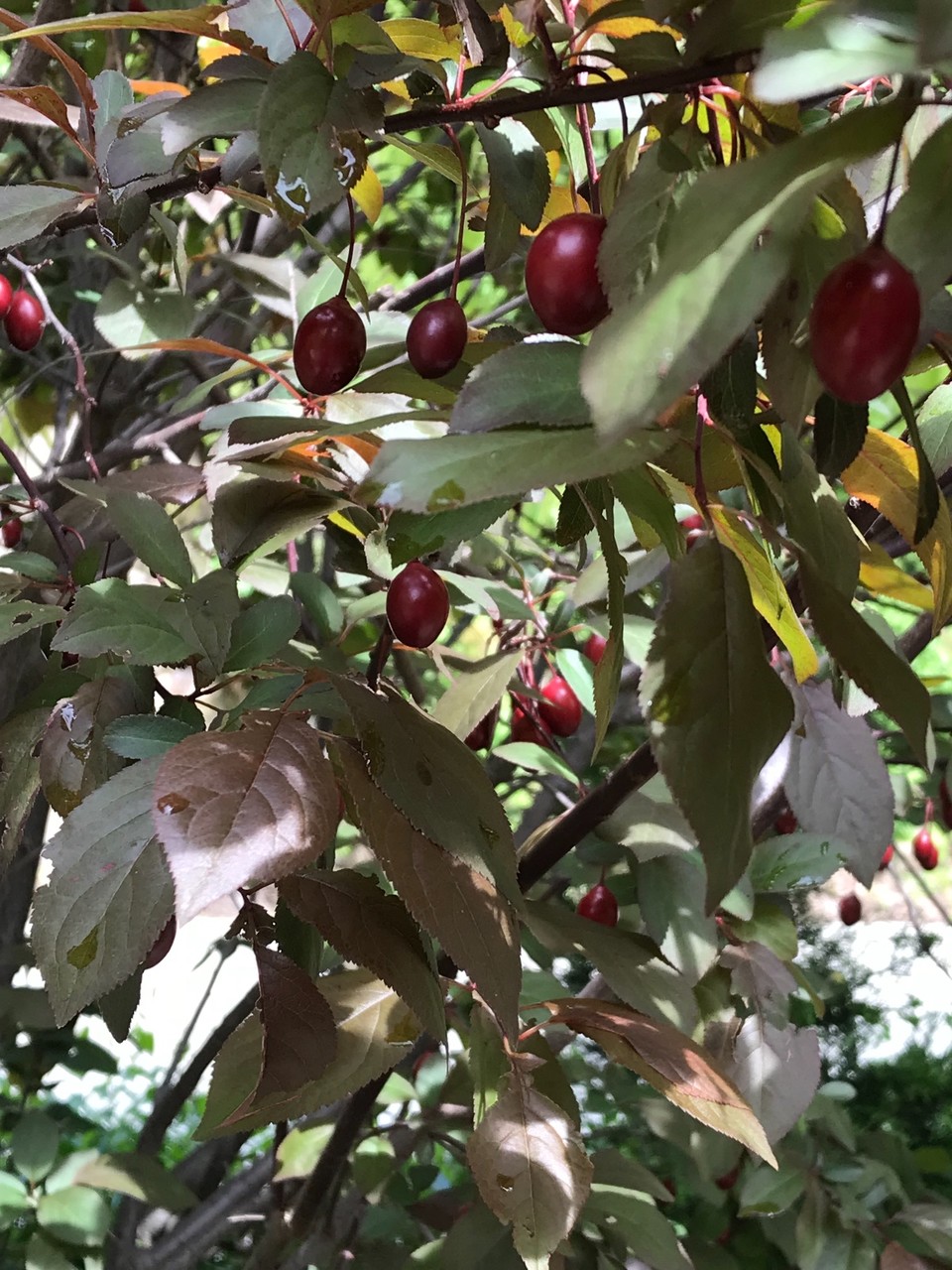 292B0FF3-E3B4-4614-922C-56B1D3D0A195