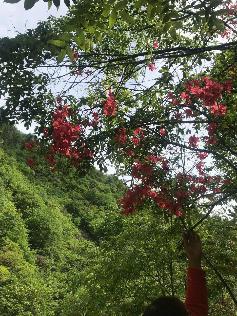 CA8703E4-57A6-48F3-BBC4-B82B91E11555