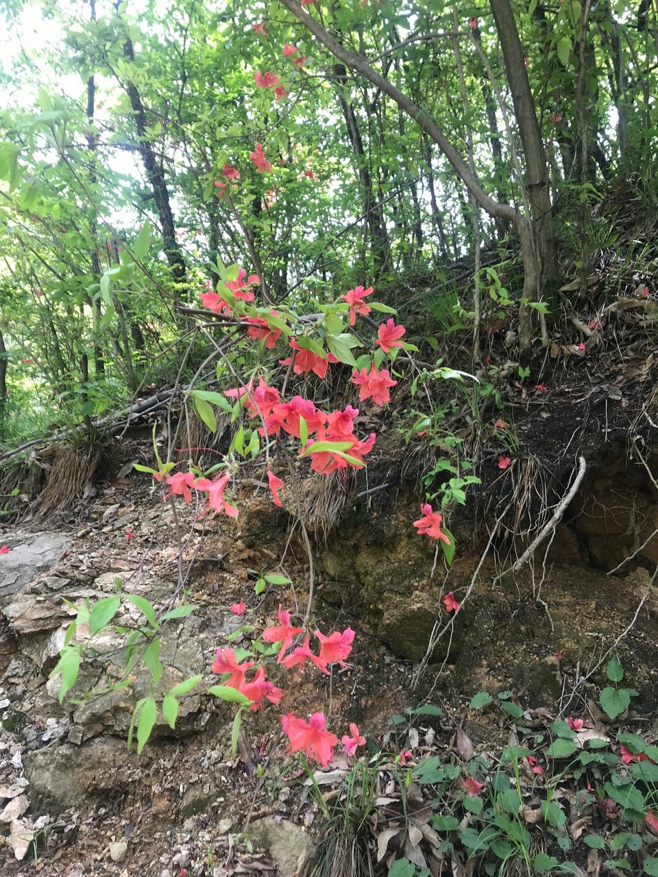 0C7C4C0A-F100-4F80-B44B-D6E3A90137AD