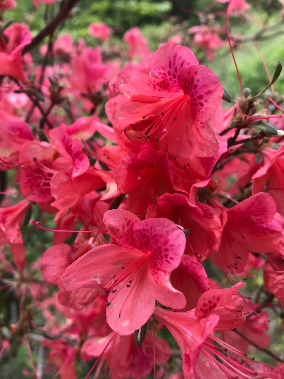 E4C63D12-DCD2-4285-B8C1-5DE398559C31