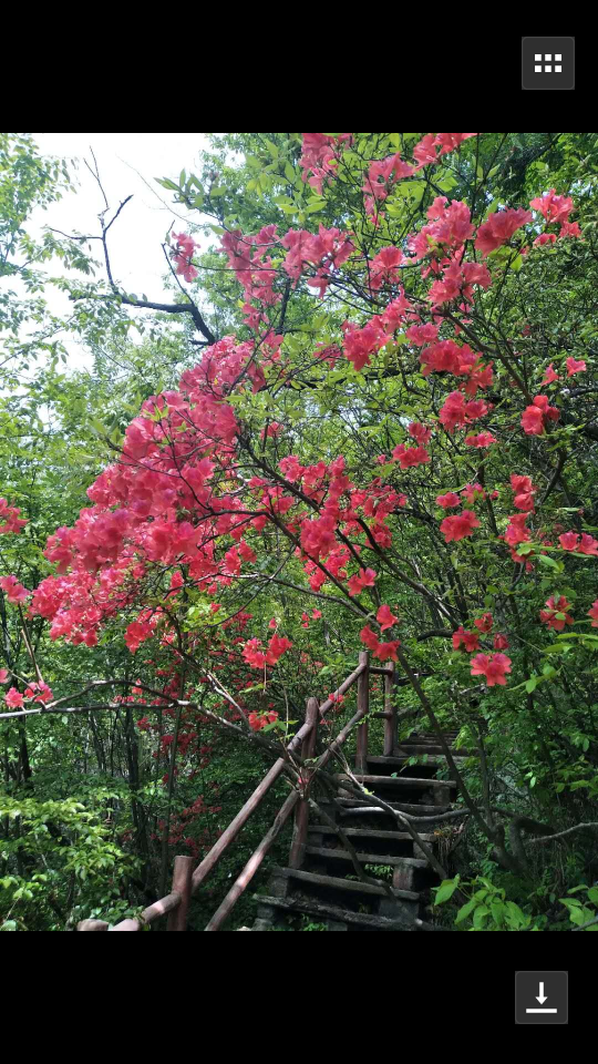 Screenshot_2018-04-27-06-08-44-75