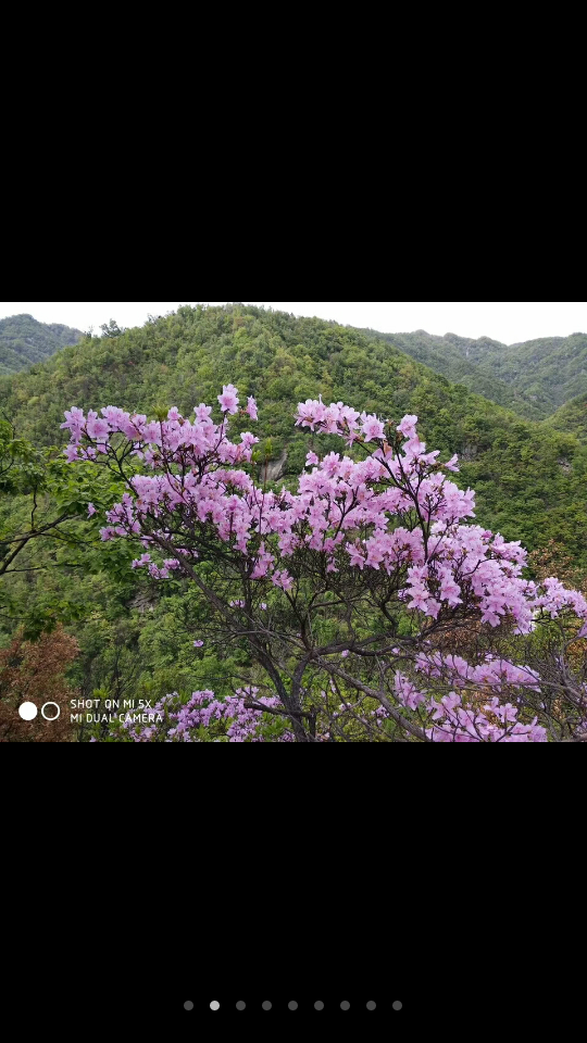 Screenshot_2018-04-27-06-14-19-50