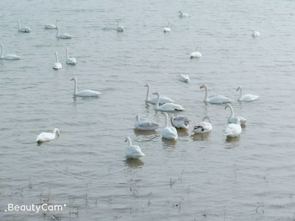 D6LHZMwNwpHekvmaoCP5hFuwvWkbsHFZNFLxtjsMk2bYPNXTUw-fPQvGy9dHlJ3H