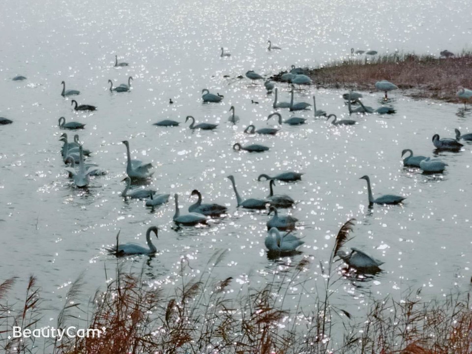 _dPUBAVoqqJCop2pr7jZv_pTn3Z9IpWLyJruC01pFXZwvwJ9gcTqnqoT7_RTga1d