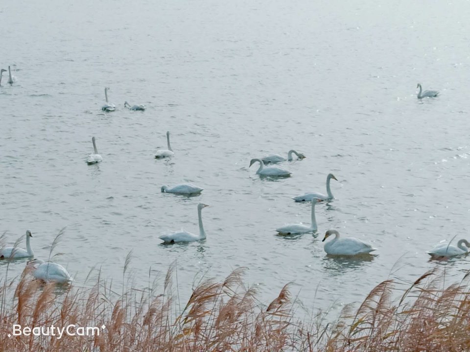 wiamhxK_WXC5WFxXLiCX3hMpMYvuwIUGTIQFjREJXECTFfp0vf_fkZGM1wBXdZqQ