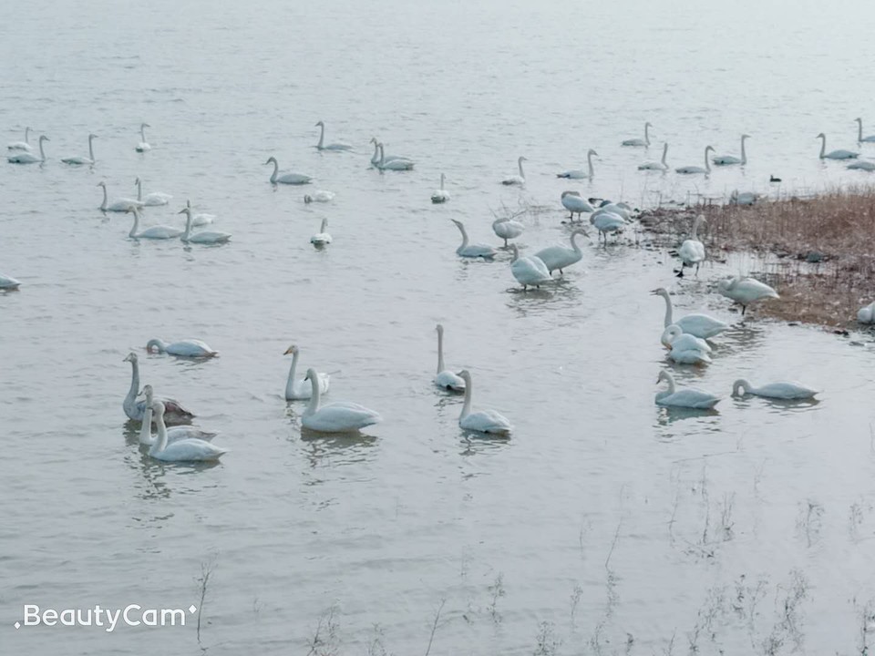 AGuMa1jSe_ukXE7RVmNJydkMhlIKiJq7ONua9OUvMrbXfbxuQuFMsvBPTeyFcCGZ