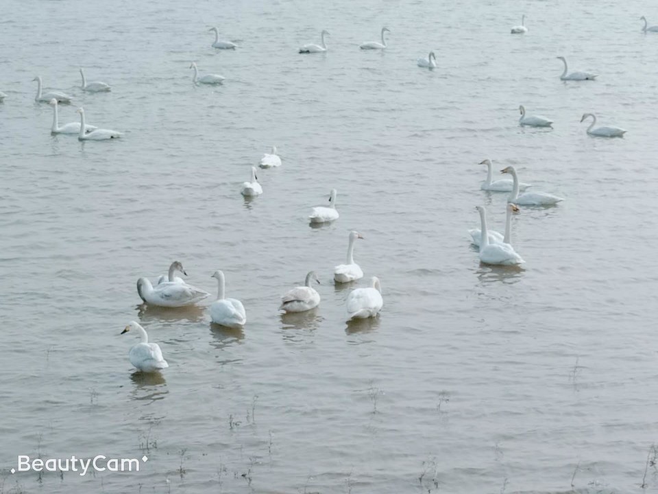 jHSjUDEB1MnIxuBG4-iklXdNrEmd01dukcUDW2v2zhYdm2M5osjRu_fd5TH458lA