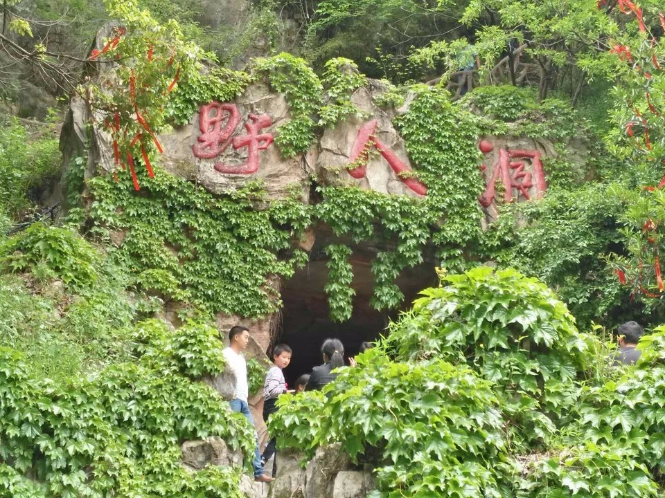 mmexport1525076870468