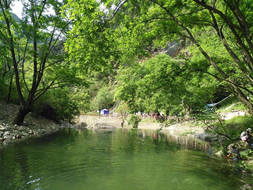 mmexport1525076836731