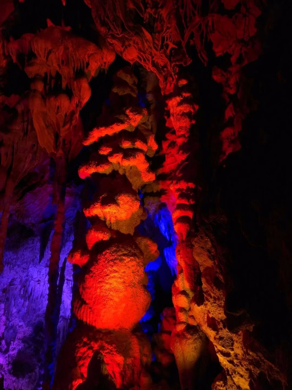 mmexport1525076888772