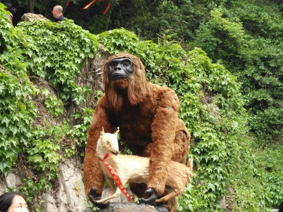 mmexport1525076872972