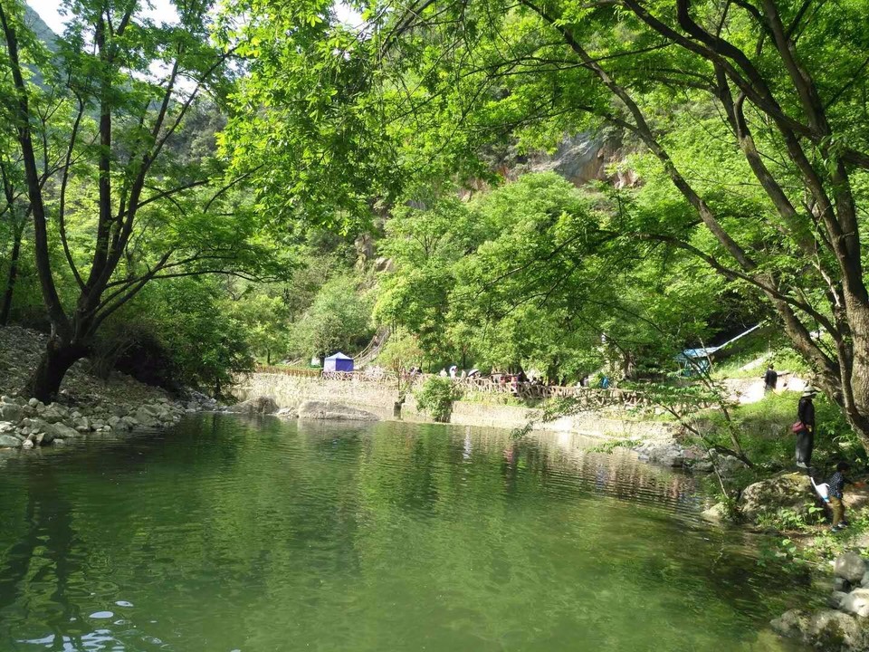 mmexport1525076829563