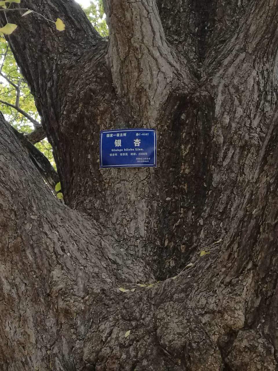 uOSC72j6pzCJwWx88iNYqaiumpsWp9RAaMBBLhIg2GBwfmKFB9uOM1oEvc9u_BlL