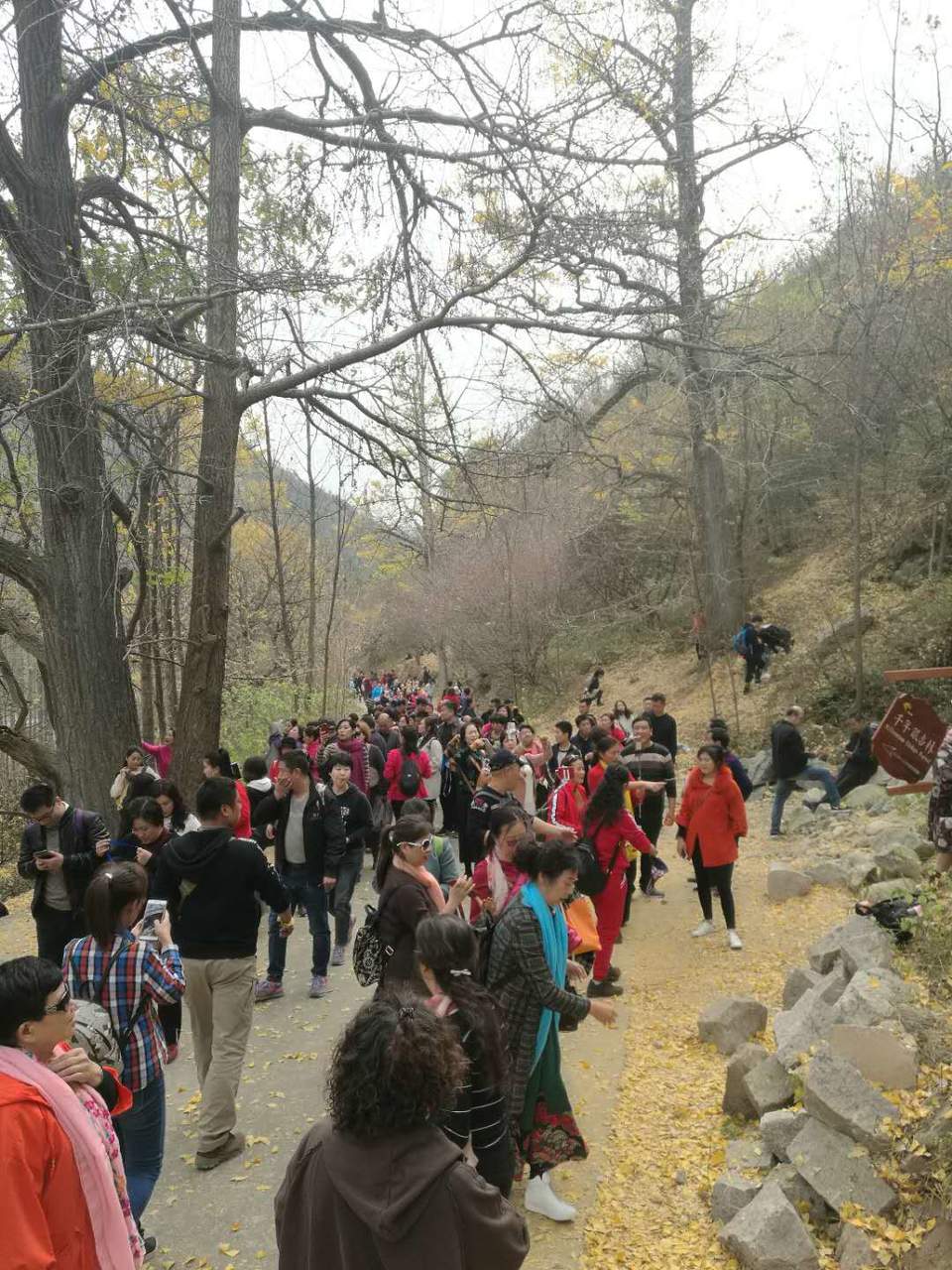 btcJKFkW1imRckdGjGlq1naLIhHouI3_tynQP8B6xe5nlPERXhzrzILUGge-oXMx