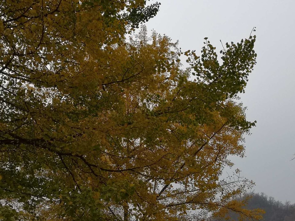 UNLxg-e-_rsSRdlrWCQXDg8d3zI5nmjYL58ZkNoJ3t_ow5ptBXiAyw7k2rzqnWRA