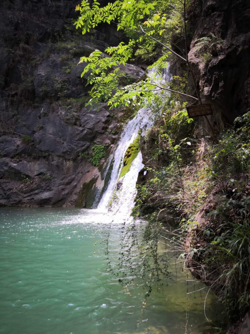 FSpxwug8e3Cxekusgo3DEGOOymOYyNUa46xFOTtiUutC9scrzxwl1fCoEJLNbDfu