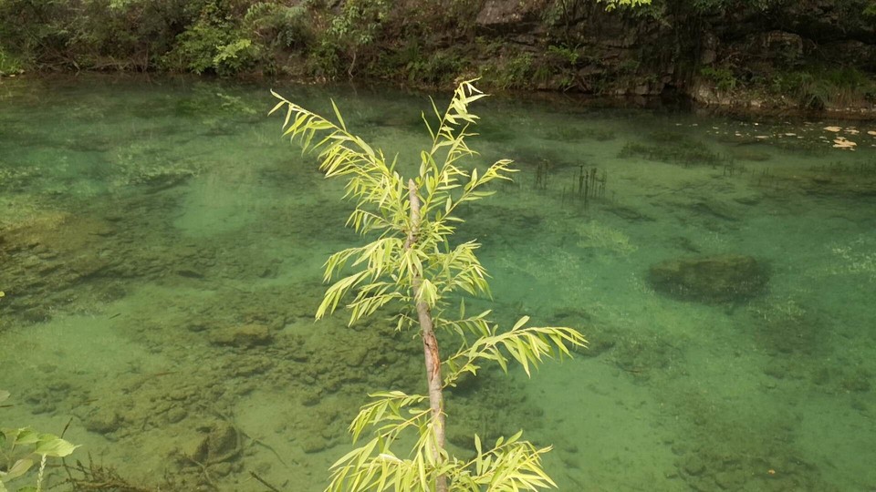 hdwZuYRWgJFO5WBsk-BLalZFK_Dj6MHBMI6qnN3DpNWHwBq_2K2SvvTaCxW1L48_