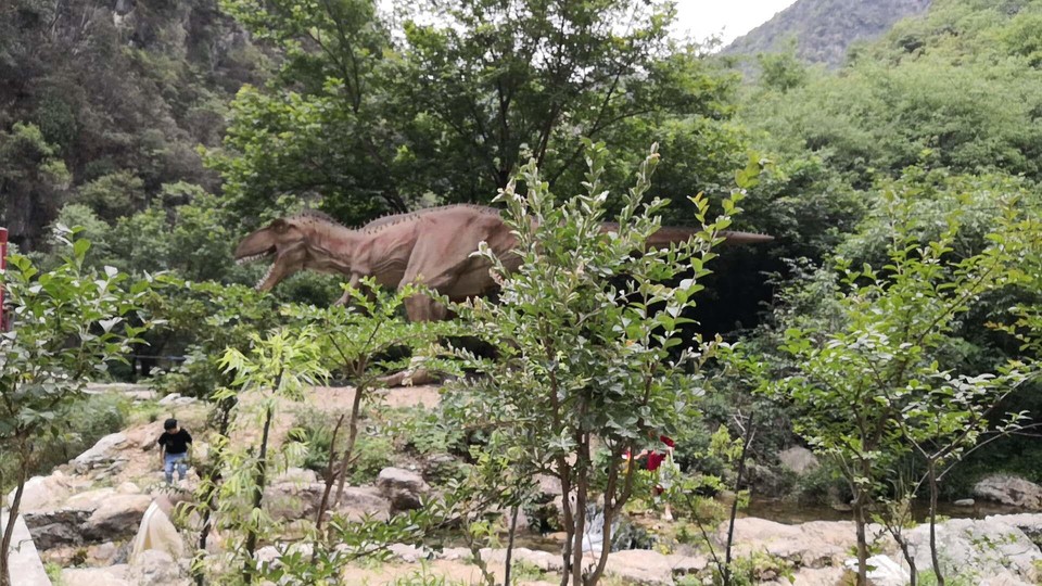 y-uRwMmjiQlk-sWC_x7FdTtpsYbZWDmcf97jUpSbw0PI_6ZHMqDbmIwZN2BSoASM