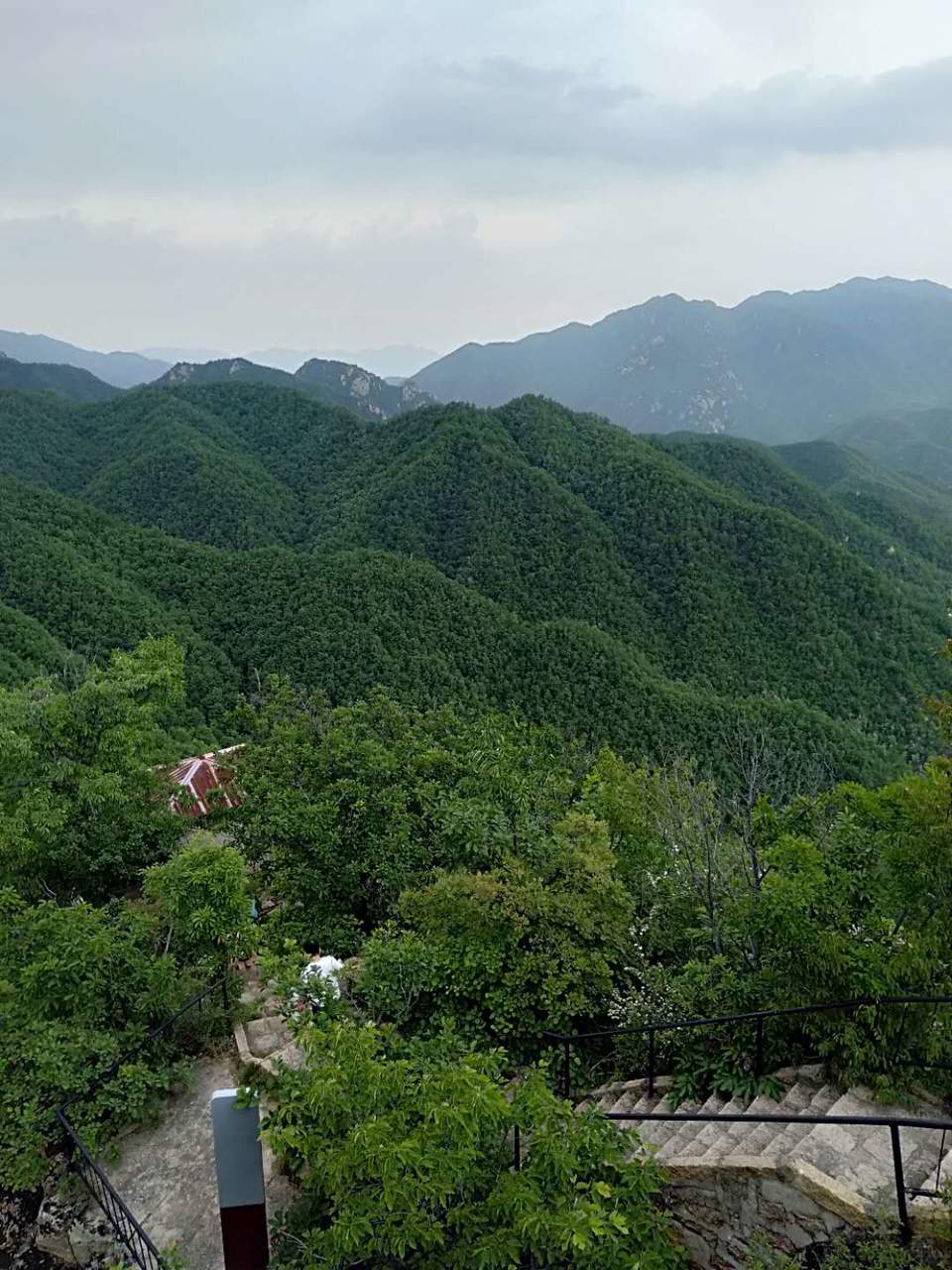 31Qb3lSIIy3xV1RLadkll-sq-N432ieosbREuiT76fzBvmJd4_22I6DqN9WuLT9q