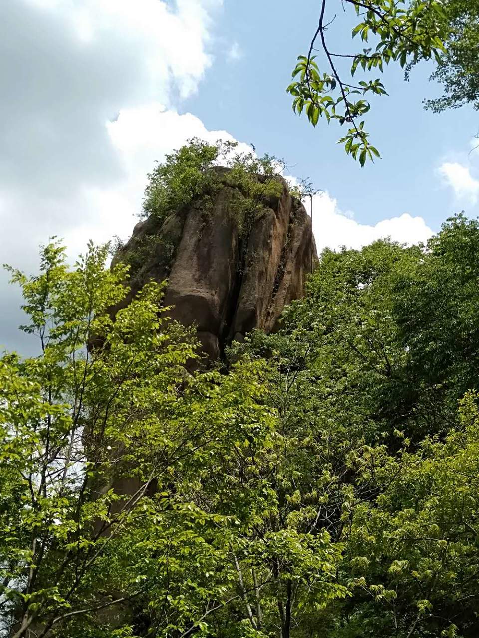 Hzfw91TBEZw2Tgi_9FjRxMmZlEFxgqmzl4bziBv4oWRikjKIL_3-LWIe6NNZh0Wa