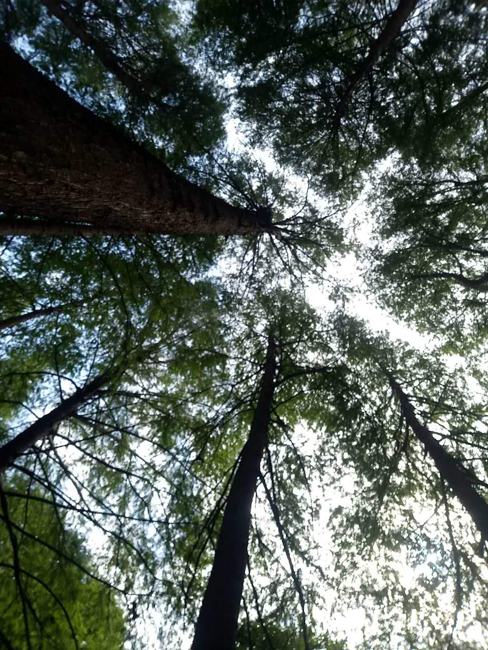 Vl5ZXvJVZv-Qlq_qeVKYFrw1ZkoP9UmmJrjClEPaLEQgRUUl-TGXL1Tv7vKZhU5o