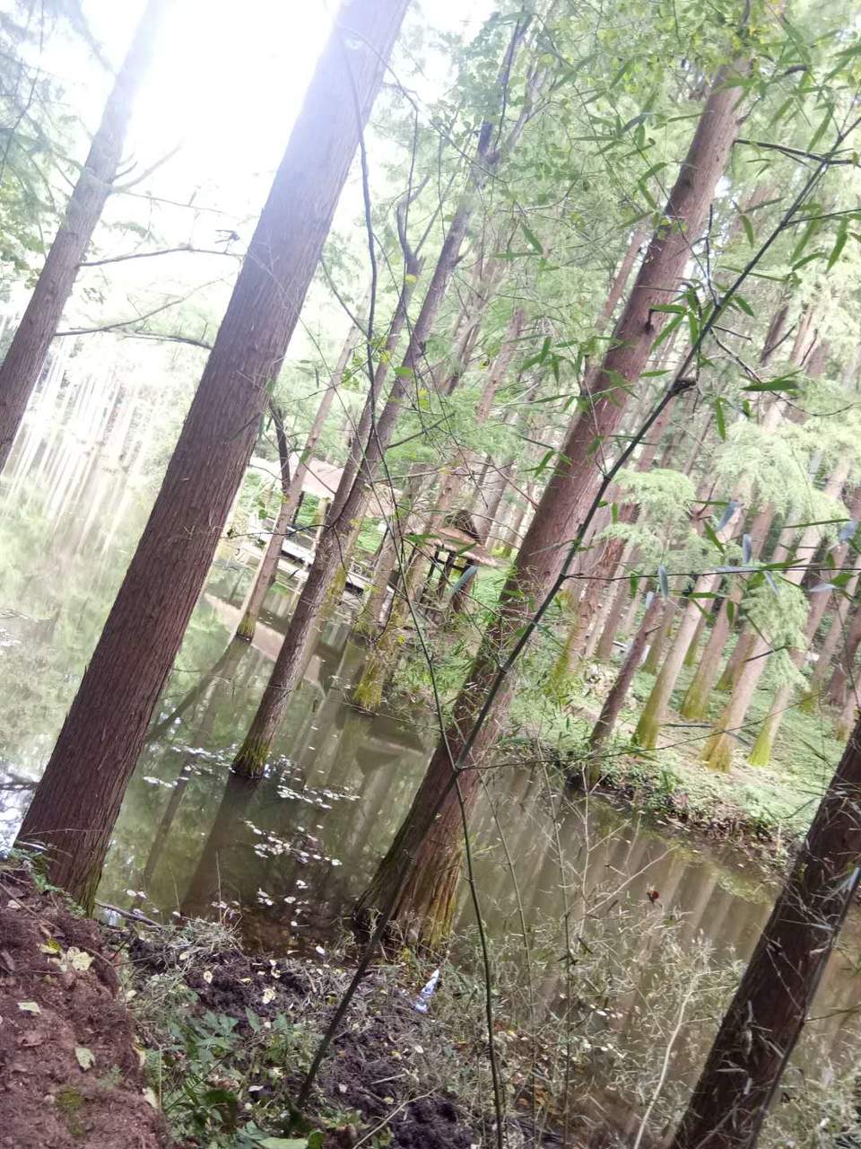 0gMVYXQ9UhejxiUhFX0_RyxLO4DwpGBWloZ4jvFqEP092xDHvLT-rdzGAh2hbhqu