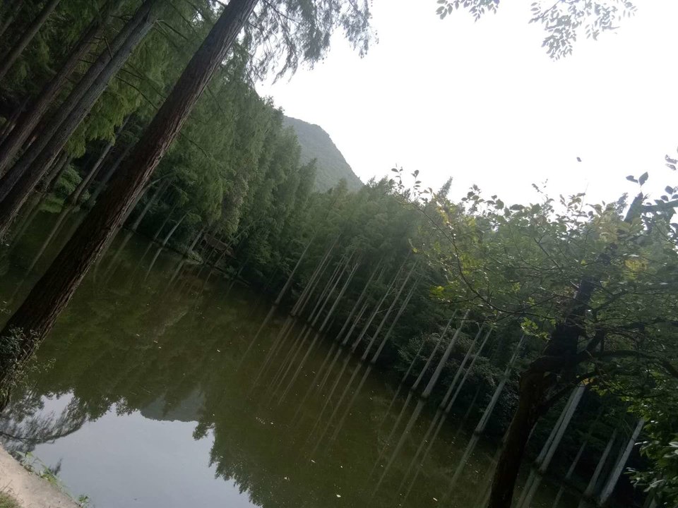 cMvoak5BHYdmLAsM9a8hZ-PWjJjGgHeQYs23MWL2z4J1MR4T7Nco9FQUyQ-aH-fL