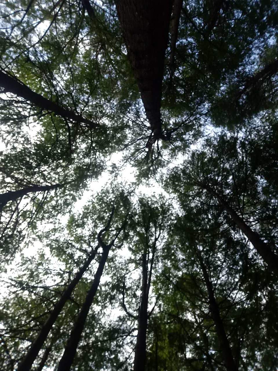 Fyq54SUGpmENwjeGH6Ccbeq4fR2F2Vpdvg2uIBuP-Iey_RACM-rv4BJwRwetYTlx