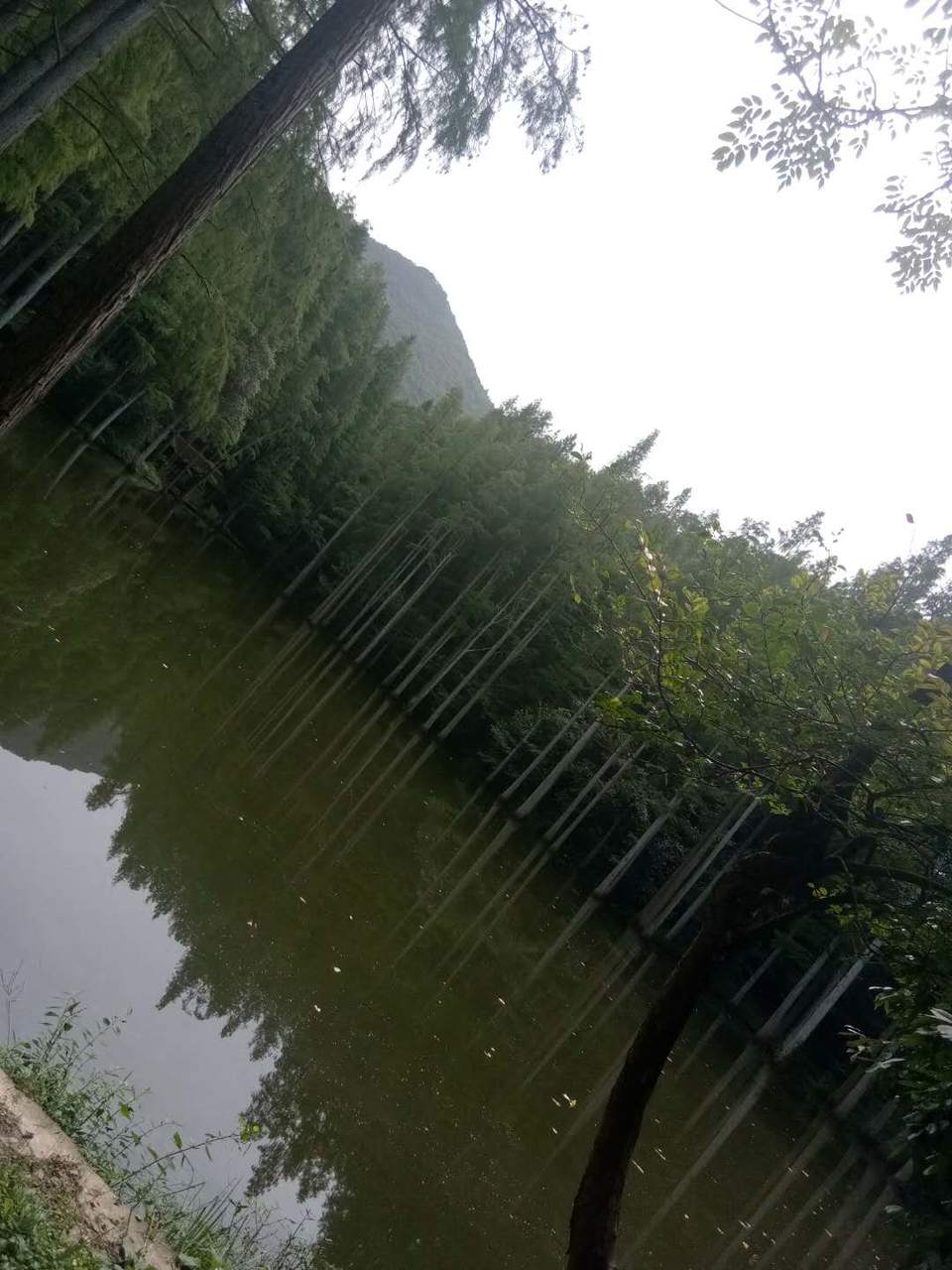 PzrUVK6CC6WVU0i00QYOEkS7PxSzIJApSMKQy6U3cxSMA2DPv1G39Xt1VNNlG9sB