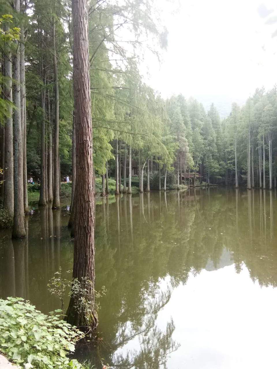 kwXIZ_n9D-2n-Vm3ZgeSU1tlozW_dCycYWIs7ZOo1km0Clvgtl2ZmXZ08CILThb-