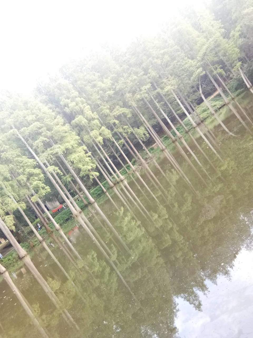 mGu9fdSBS-5wcpzhEeUx1spzfdDVxnK6Kr1SrnF60pWkN98guUlk1ipYZ47LgjMQ