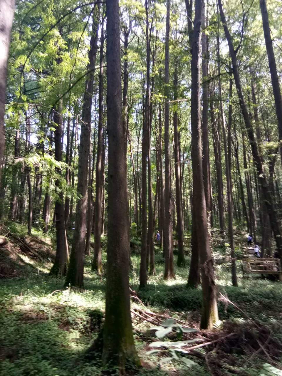 XliOYf9869f_7kurMboIMLLs37W4TzqOpI4uzb02sFgQbE9HjdPnujO4PnTp4iPi