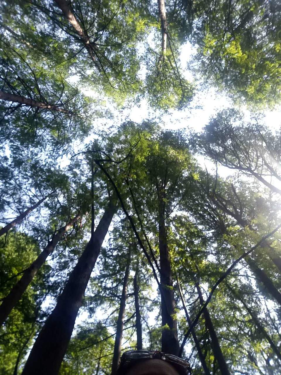 ox_JlT05VDA3MrauUEAmi0ktfVZly6vdemHsY4ubqxb7vYcfsri-DasUhNr_Txkd